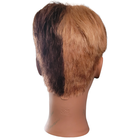 Mannequin Head Hairdressing Cosmetology 100% Human Hair Practice Training Doll - Picture 2 of 7